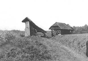eika image